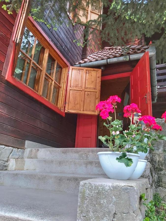 Cabana Sabrina Villa Бран Екстериор снимка