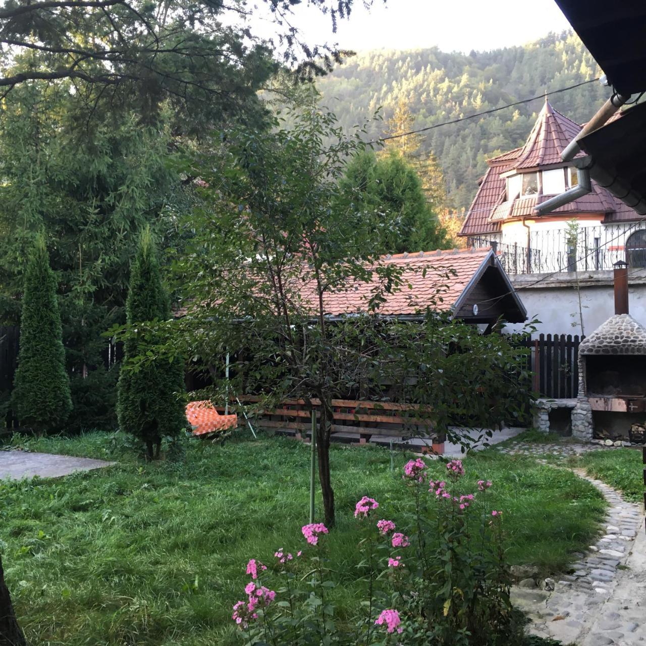 Cabana Sabrina Villa Бран Екстериор снимка