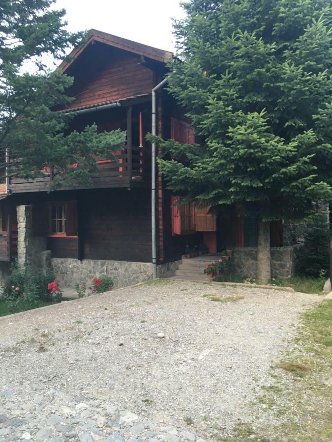 Cabana Sabrina Villa Бран Екстериор снимка